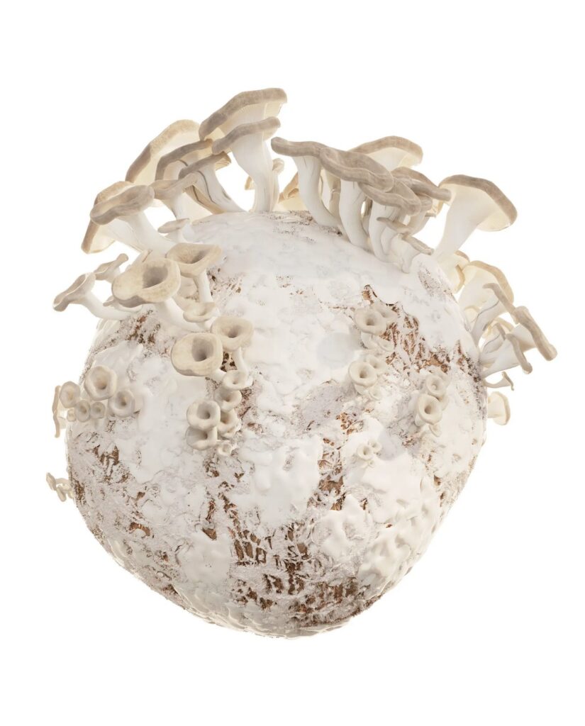 A mushroom growing around a sphere